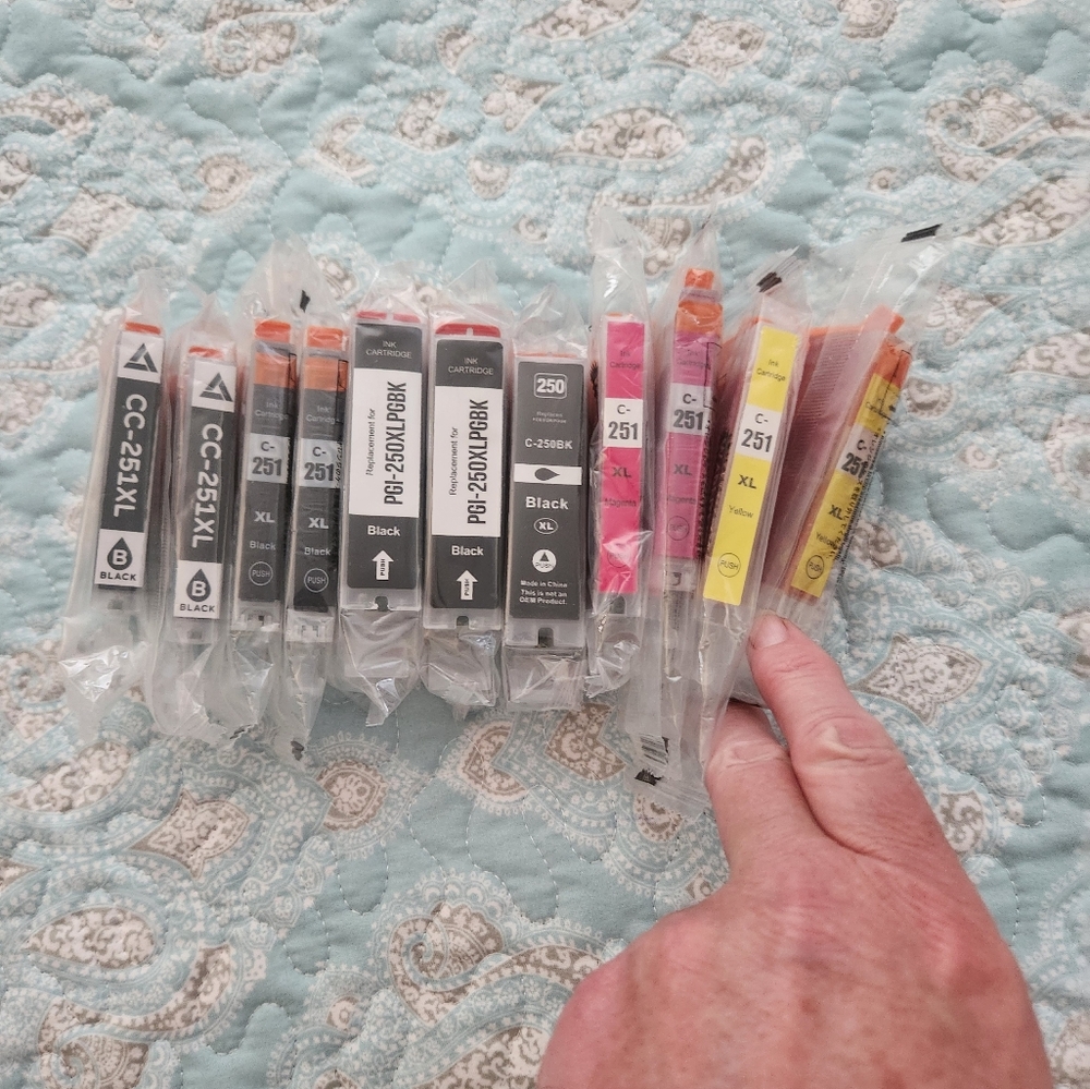 Cannon Ink 251 Xl Eleven Packs